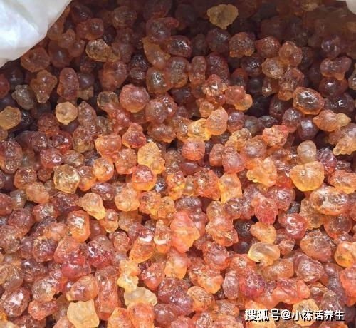 鮮桃滯銷下的機遇 荊門屈家嶺桃膠產業貨源供應價格意外驚喜，水產品市場聯動展望