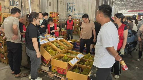 膠州人鐘愛的初級農產品 跌破10元/斤的美食熱潮