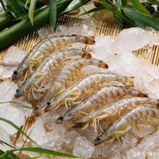 疫情下生鮮電商的逆襲 從水產到蔬菜的全面爆發