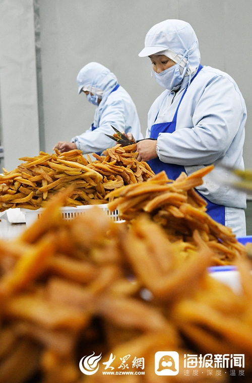 山東棗莊 扶貧車間生產(chǎn)忙 蔬菜產(chǎn)業(yè)助增收