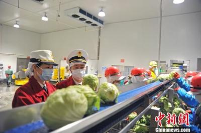 廣東外貿上半年穩健增長，民企與蔬菜出口成為亮點