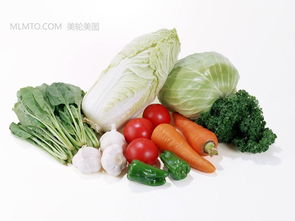 蔬菜 餐桌上的營(yíng)養(yǎng)寶庫(kù)